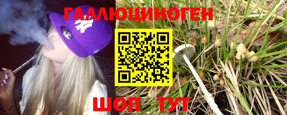 Галлюциногенные грибы Cubensis Выкса